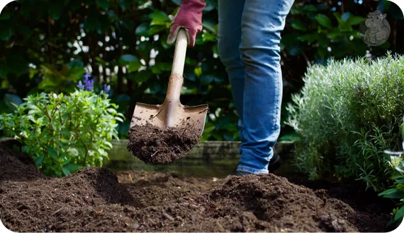 szpadel ostry do kopania rabat